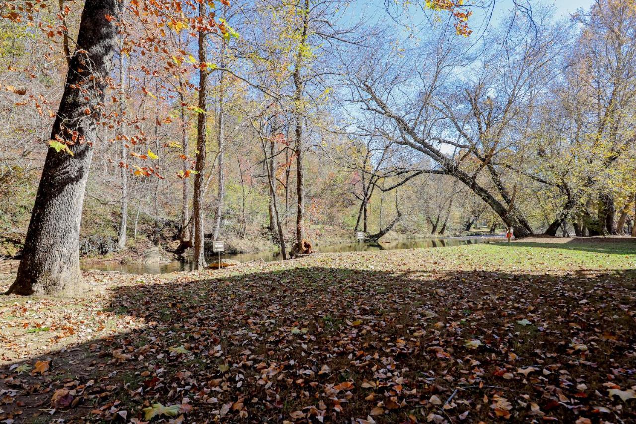 The Bears Den Daire Helen Dış mekan fotoğraf